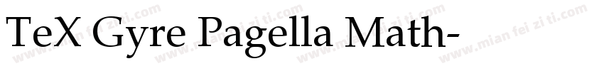 TeX Gyre Pagella Math字体转换